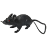 Rata  - Animales y Bichos