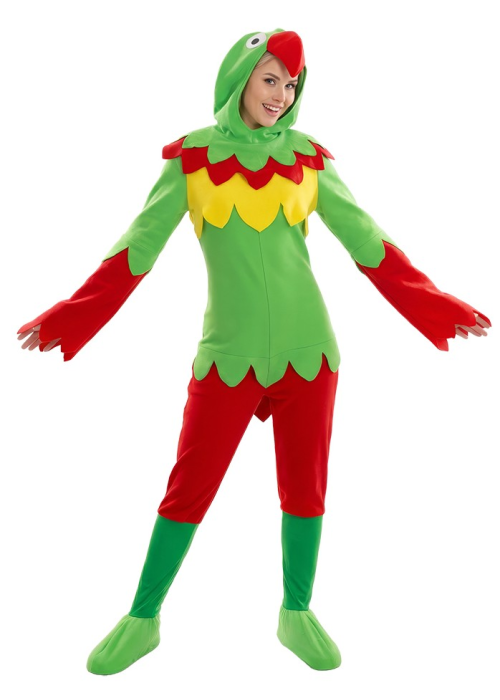 còpia de còpia de còpia de còpia de Vestit Lloro