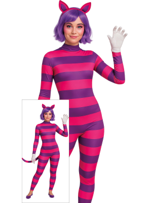 còpia de Gat, Vestit De Ratlles Vestit