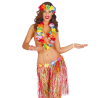 Comprar Conjunt de Hawaii per només 4.90€ – vestit de Botiga en línia