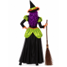 Disfraz De Bruja Verde Mujer - Disfraces Halloween Brujas - Disfraces de Brujas y Hechiceros para Mujer