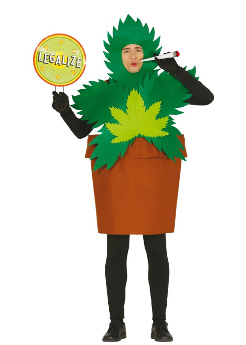 Disfraz de Planta de Maria - Disfraces de Flores Frutas y Verduras Adultos
