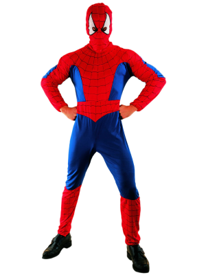 Disfraz de Spider Hero - Disfraces de Cine y Tv para Hombre