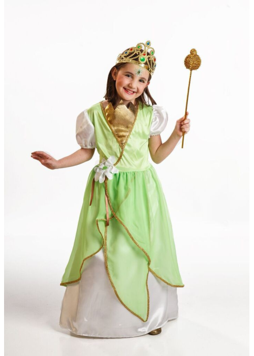 Comprar el Vestit de la Princesa de color Verd Infantil per només 18.00€ – vestit de Botiga en línia