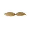Bigote Rubio - Barbas y Bigotes