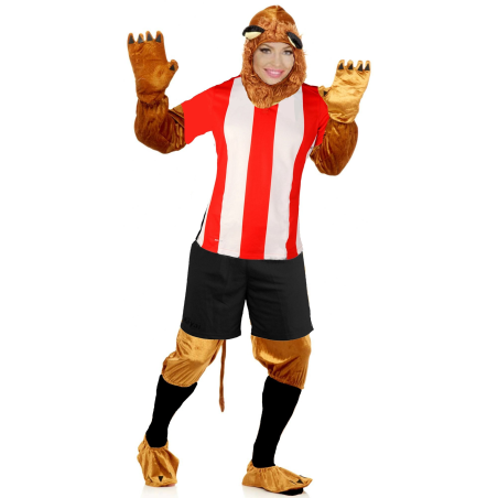 Comprar Disfressa Lleona Athletic per només 35.00€ – vestit de Botiga en línia