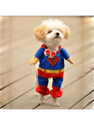 Comprar Disfraz para Perros de Superman - DISFRACES PARA PERROS