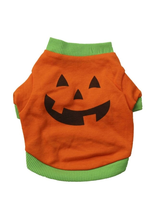 Vestits per a Gossos de Carbassa