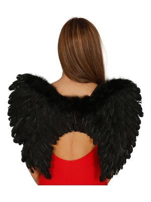 Alas de Plumas Negra - Alas
