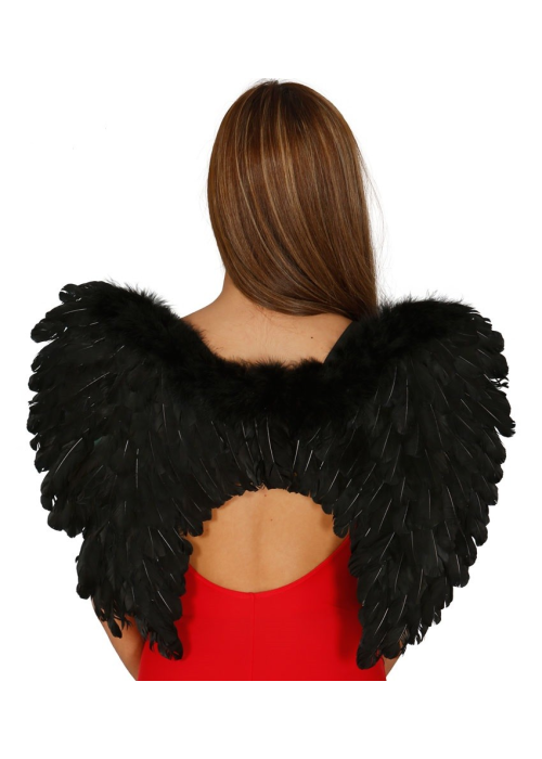 Alas de Plumas Negra - Alas