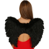 Alas de Plumas Negra - Alas