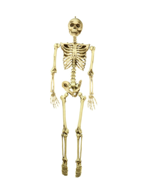 Esqueleto 160cm - Calaveras y Esqueletos