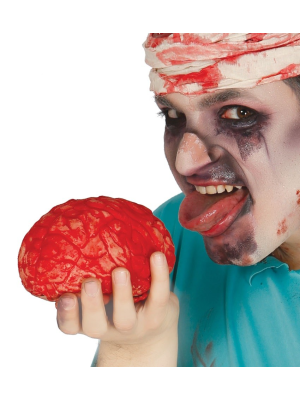 Cerebro de 15cm - Organos y Miembros Sangrientos