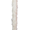 Boa Pluma Blanca