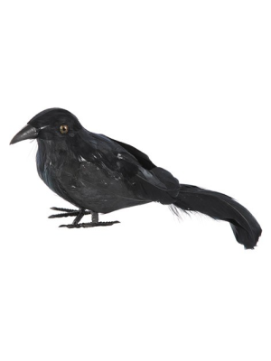 Cuervo de Plumas Pequeño - Animales y Bichos
