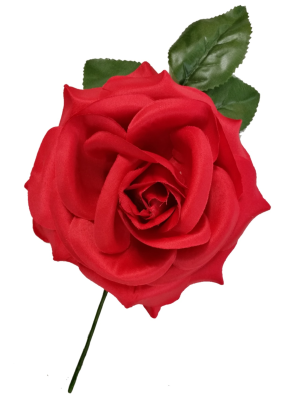 Red Big Flower