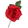 Vermell Gran Flor