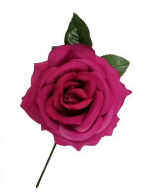 Flower Gande Fuchsia