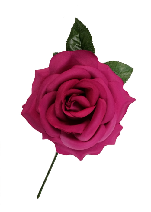 Lore Gande Fuksia