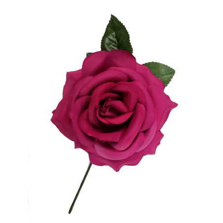 Lore Gande Fuksia