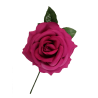 Lore Gande Fuksia