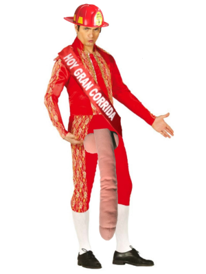 Disfresses De Bomber Torero
