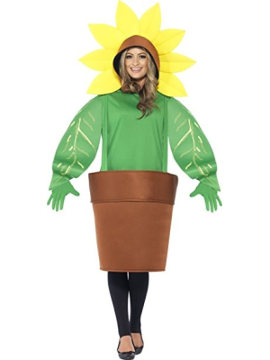 Costume de Tournesol en Pot