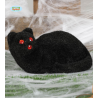 Gat negre 23 cm