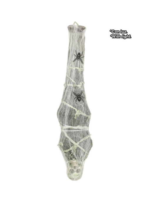 Squelette Accroché dans la toile d'Araignée
