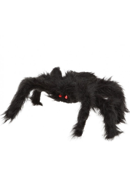 Spider 20x28
