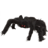 Araña 20x28 - Animales y Bichos