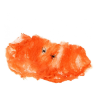 Armiarma web Laranja 20gr