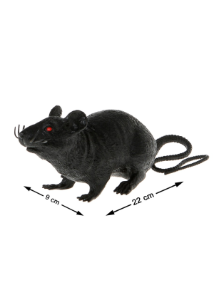 Rata - Animales y Bichos