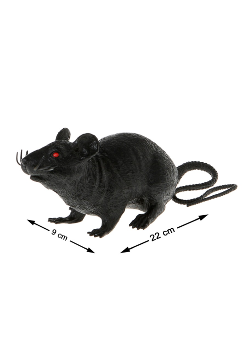 Rata - Animales y Bichos
