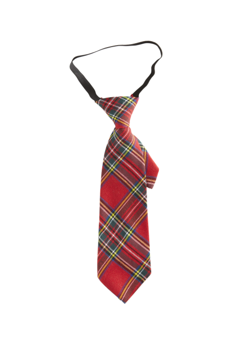 Corbata Colegial Roja - Complementos Estudiantes y Niños