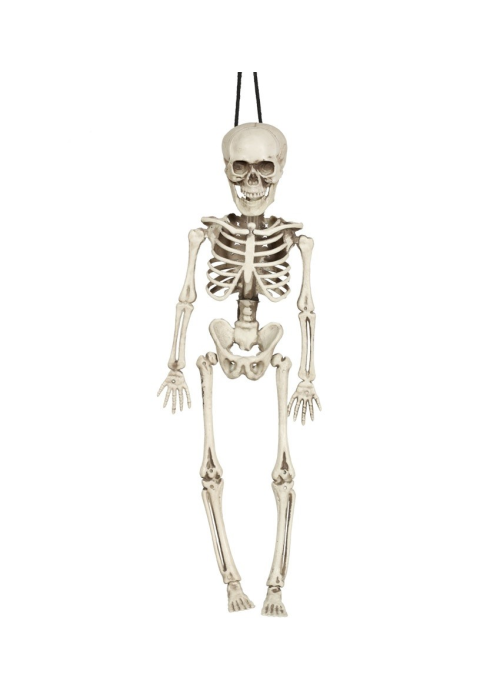 Esqueleto 40 cms - Calaveras y Esqueletos