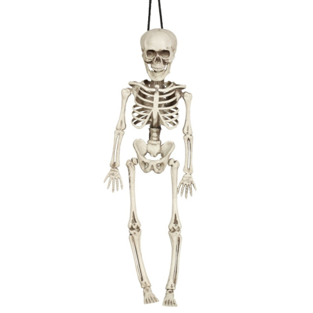 Esquelet de 40 cms