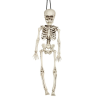 Esqueleto 40 cms - Calaveras y Esqueletos
