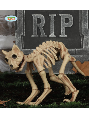 Skeleton Cat 32 cms