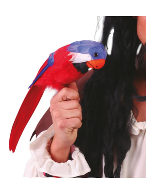 Loro - Complementos de Piratas