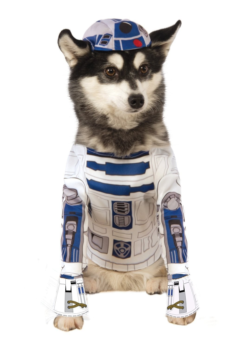 Disfressa de R2-D2 per a Mascotes