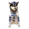 Disfressa de R2-D2 per a Mascotes