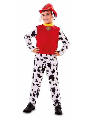 Vestit De Gos Bomber Nadó