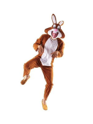 Costume Rabbit Brown