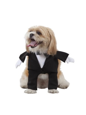 Costume De Marié Chien