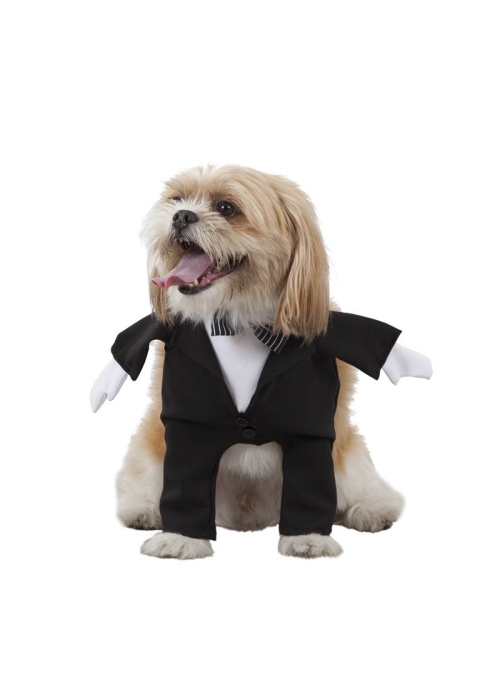 Perro de online traje