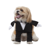 Disfraz de Novio para Perro - DISFRACES PARA PERROS