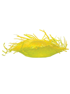 Pampa Paja Amarillo - COMPLEMENTOS POR CATEGORIA