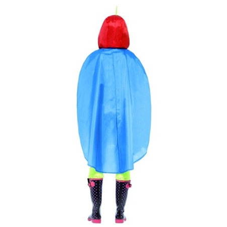 poncho lloro