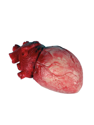 Corazon de Latex de 14cm - Organos y Miembros Sangrientos
